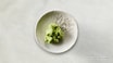 T2. Wasabi